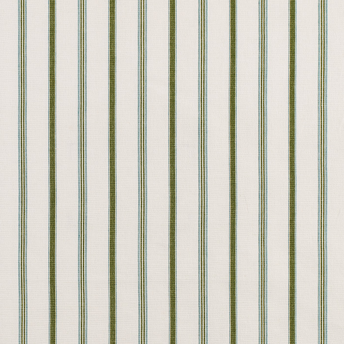 Vineyard Stripe Fern