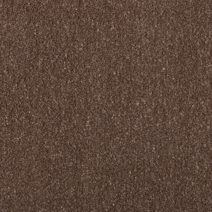 Dorper Sepia