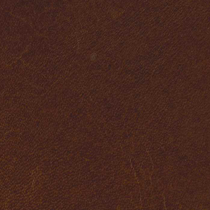 Drover Chestnut