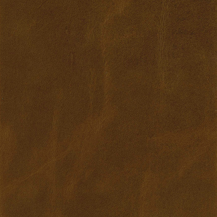 Tiburon Camel