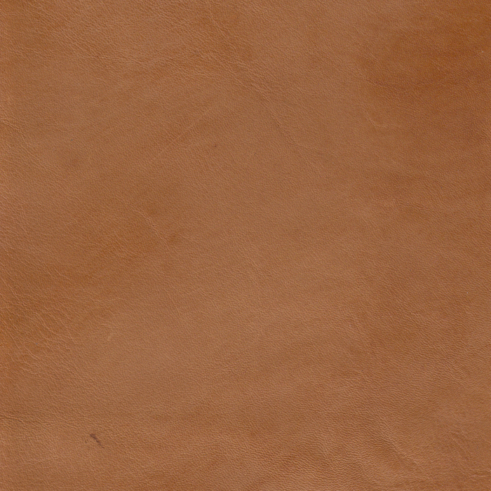 Cameo Luggage Burnished