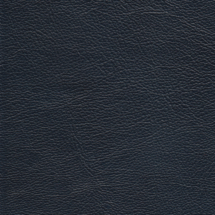 Cavalier Navy