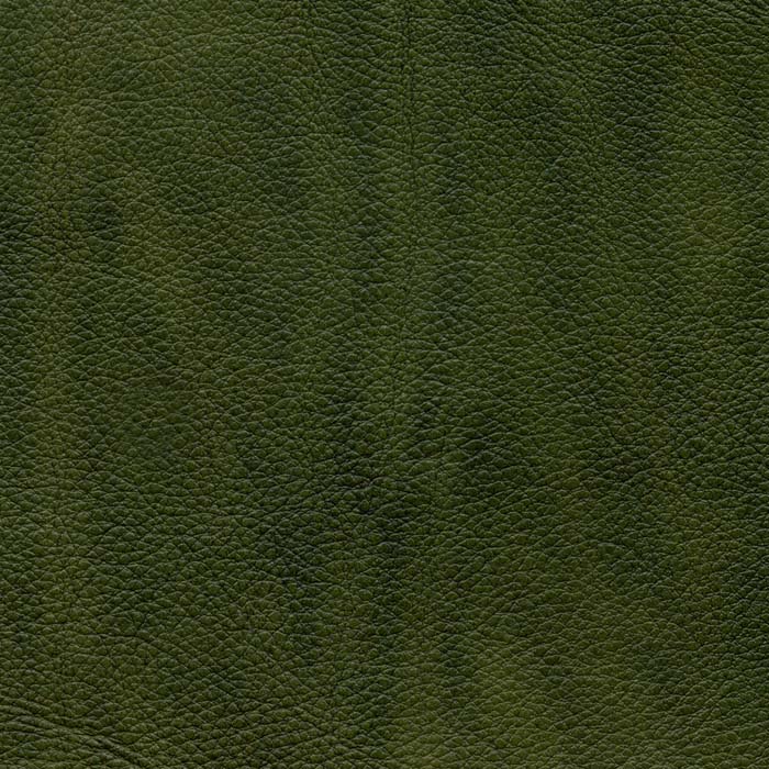 Document Moss