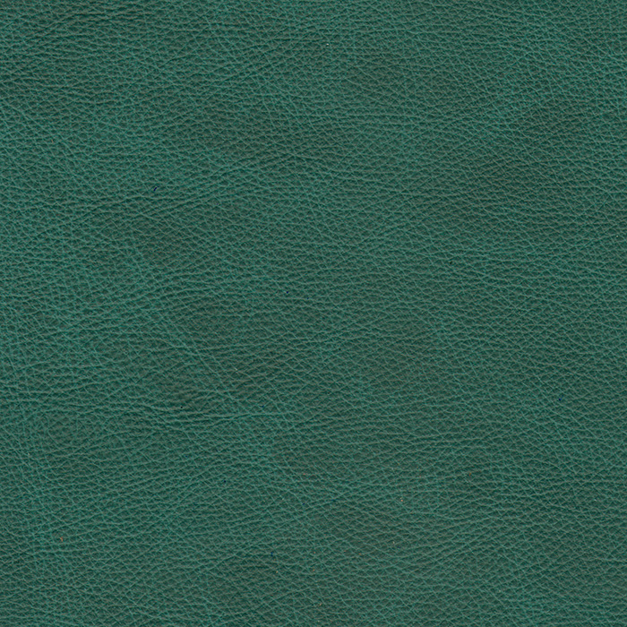Lyric Ocean