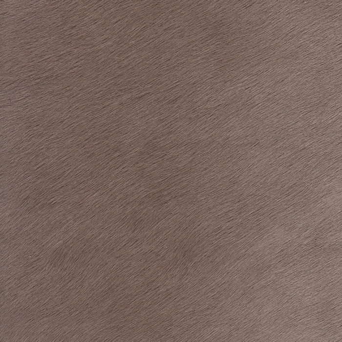 Maurice Taupe