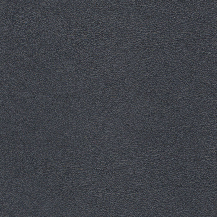 Nirvana Navy