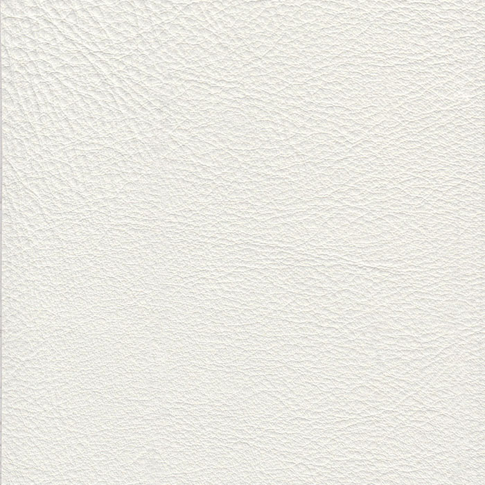 Nirvana Snow