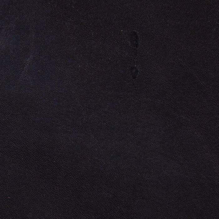 Tiburon Sable