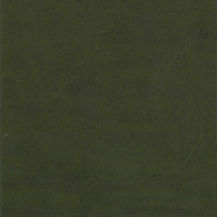 Carver Olive