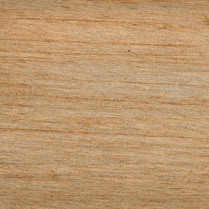 *Beech